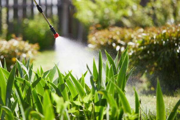 24/7 Emergency Fumigation Services experts in Cashmere, WA
