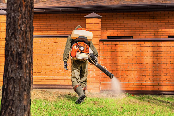 Trusted Cockroach Control service in Cashmere, WA - Nex Pest Control